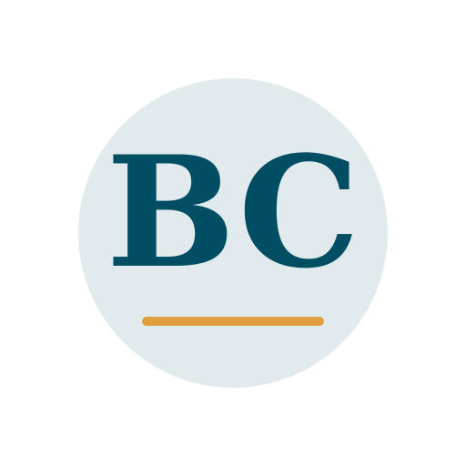Bailey Chimney Repair logo